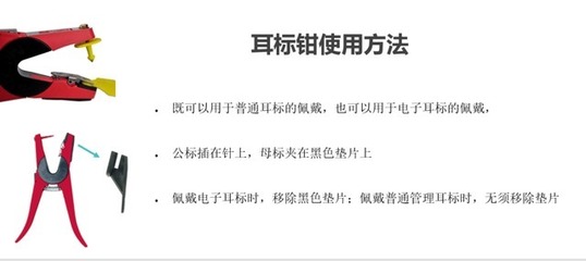 猪场信息化管理工具介绍(一)--可视耳标