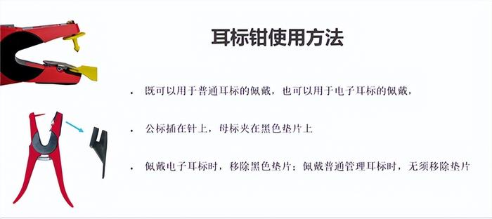 猪场信息化管理工具介绍(一)--可视耳标